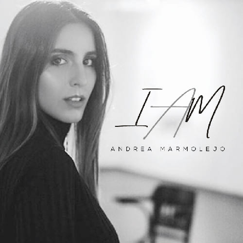 r&m_web-casos-Interno_IAM